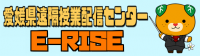 E-RISE
